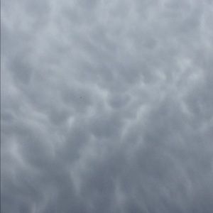 Meet your Posher, Savannah